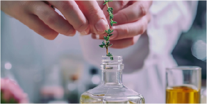 1709343700838d84eb18b3319ecd676c8600a2b5b7824